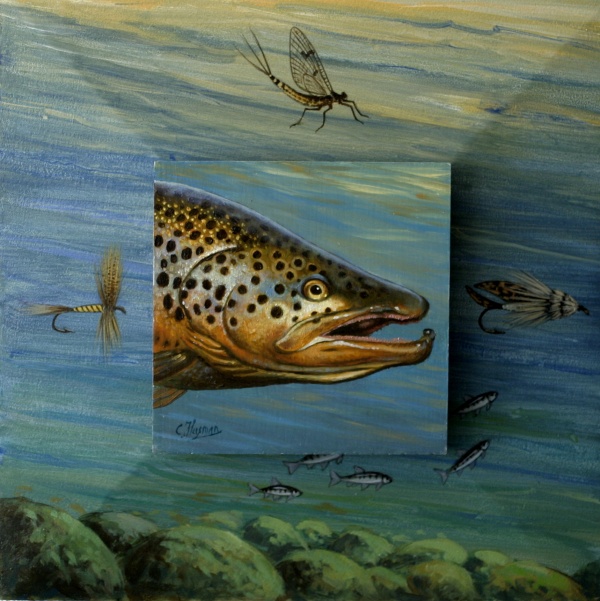 Bruine forel