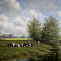 Koeien in de Alblasserwaard