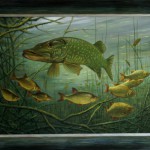Snoek met ruisvoorns - Afbeelding 2