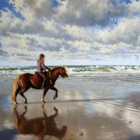 Langs het Zeeuwse strand
