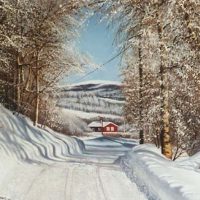 Glåmos in de winter (Noorwegen)