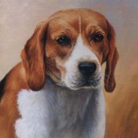 Dierportret in opdracht