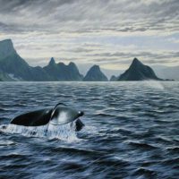 Potvissen bij Andøya (Vesterålen, Noorwegen)