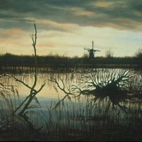 Molen in Kinderdijk