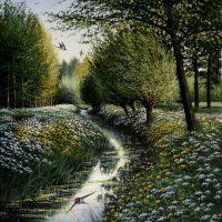 Voorjaar in het Alblasserbos