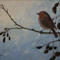 Roodborst