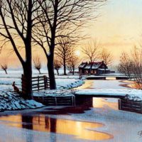 Wijngaarden in de winter