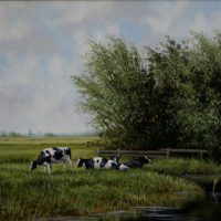Jong vee in de Ablasserwaard