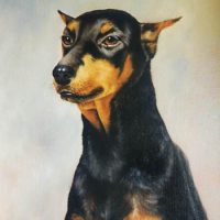 Dierportret in opdracht