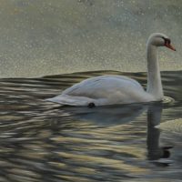 Winterspiegeling