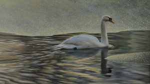 Winterspiegeling