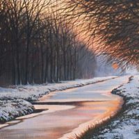 Winters bosgezicht in de Alblasserwaard