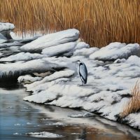 Blauwe reiger