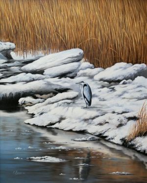 Blauwe reiger