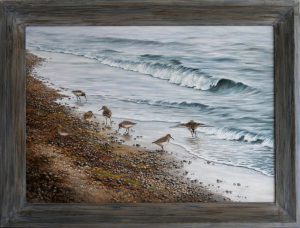 Bonte strandlopers - Afbeelding 2