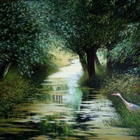 Vissende reiger