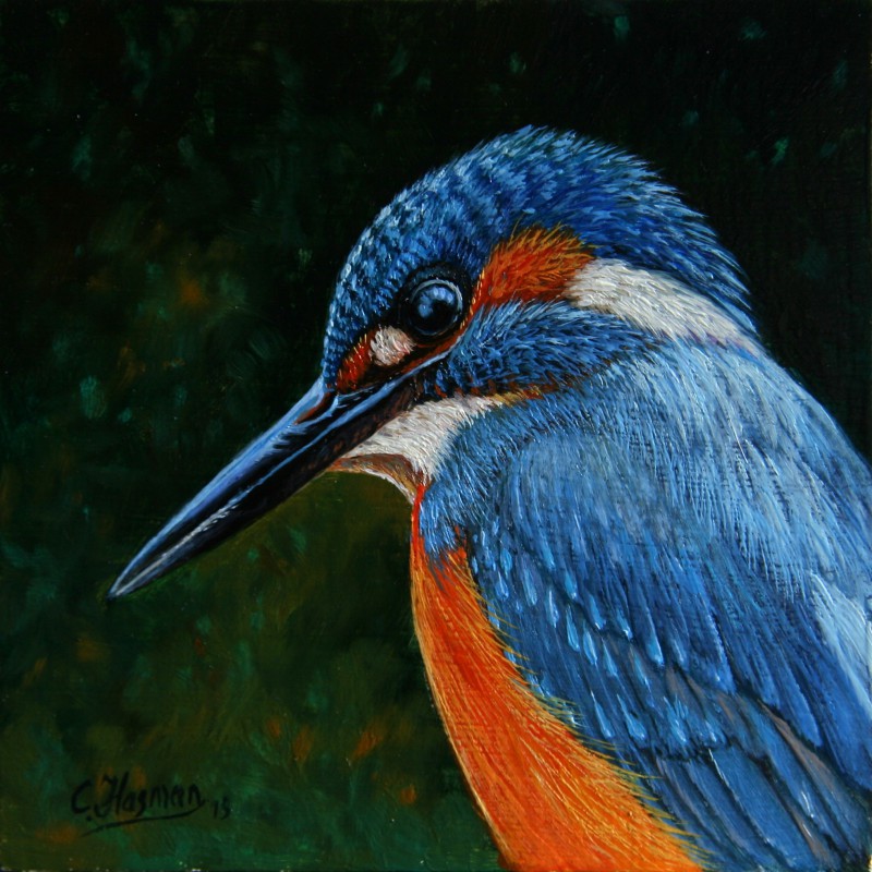 IJsvogel